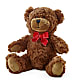 Adorable Plush Bear – Bella Fiore, Clermont FL