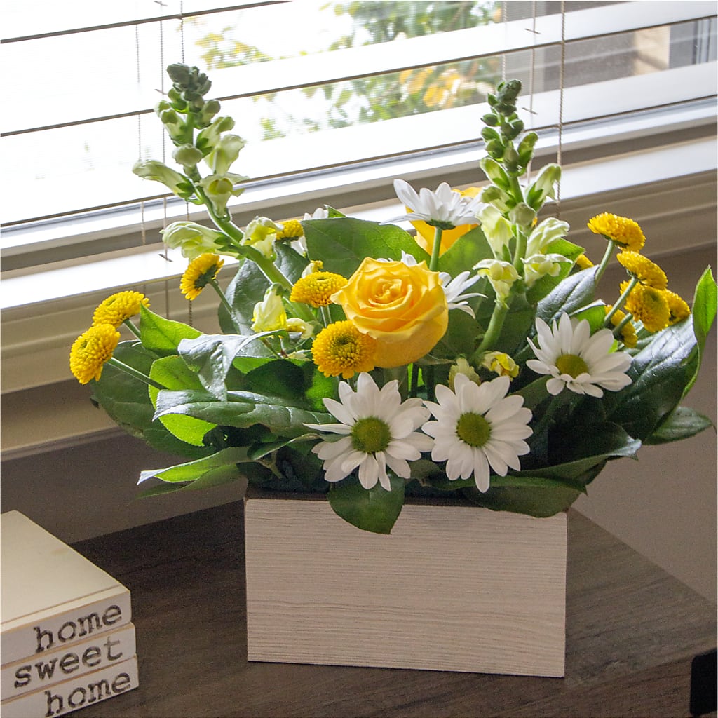 Sun Salutation Box Bouquet – Bella Fiore, Clermont FL