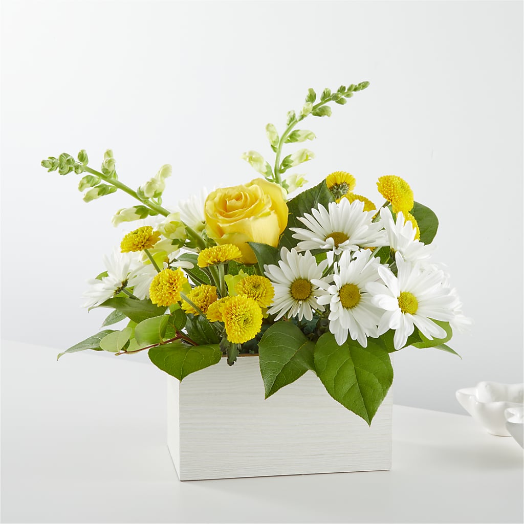 Sun Salutation Box Bouquet – Bella Fiore, Clermont FL