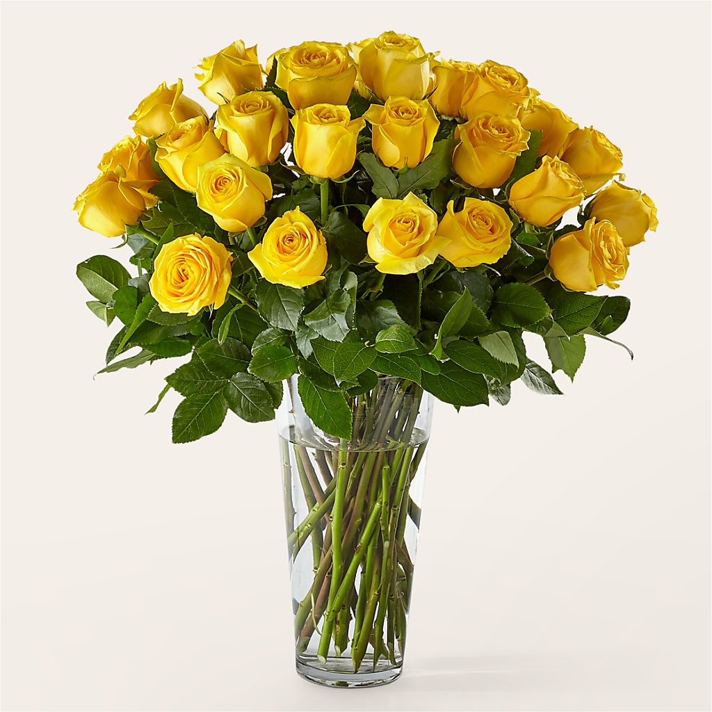 Long Stem Yellow Rose Bouquet – Bella Fiore, Clermont FL