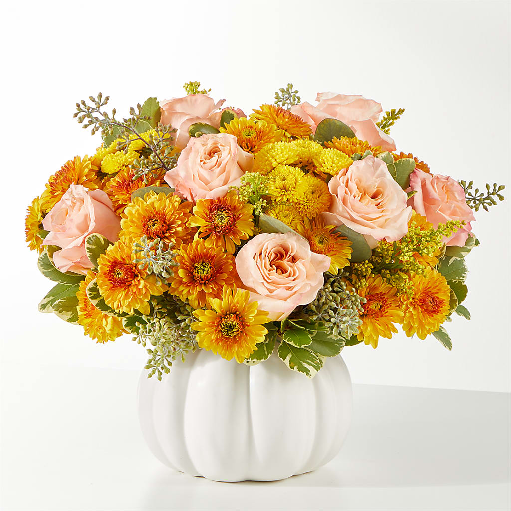 Peachy Pumpkin – Bella Fiore, Clermont FL
