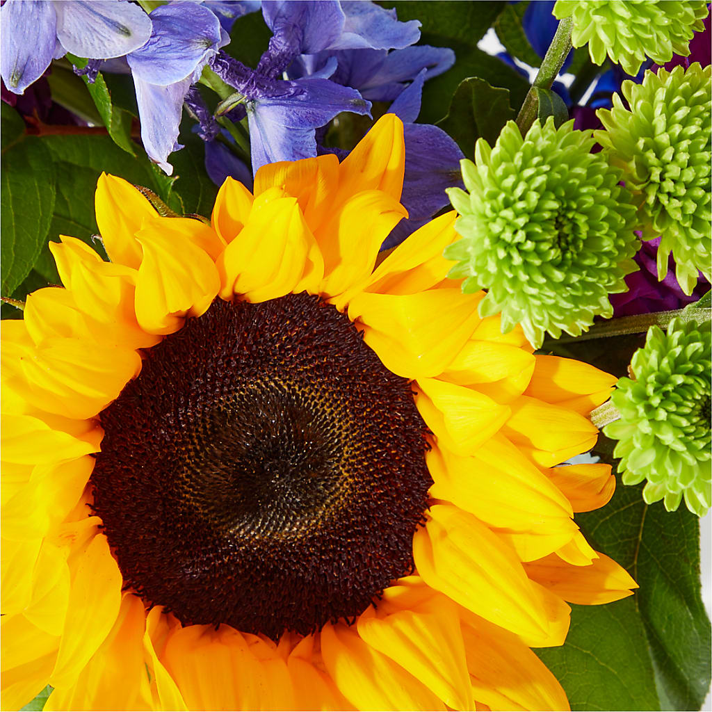 Catching Rays Bouquet – Bella Fiore, Clermont FL