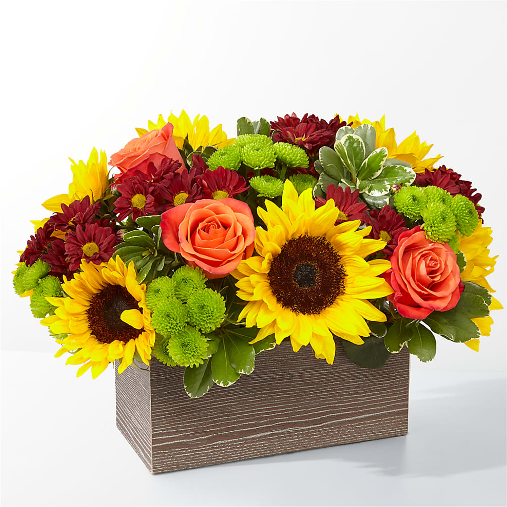 Happy Harvest Garden – Bella Fiore, Clermont FL