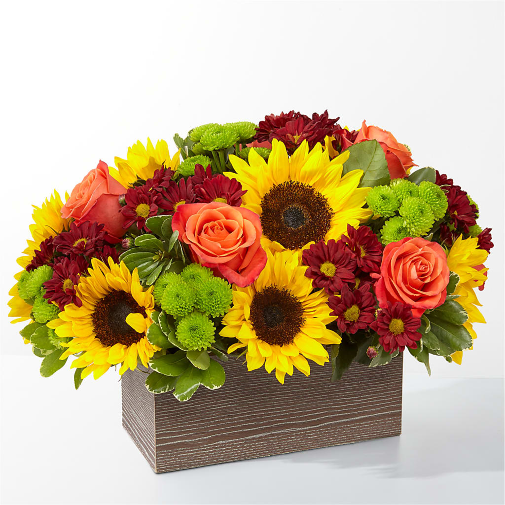 Happy Harvest Garden – Bella Fiore, Clermont FL