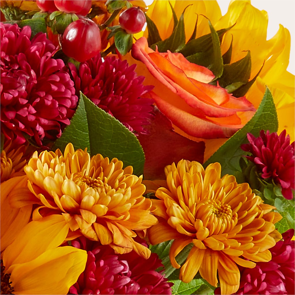 Sweater Season - A Florist Original – Bella Fiore, Clermont FL