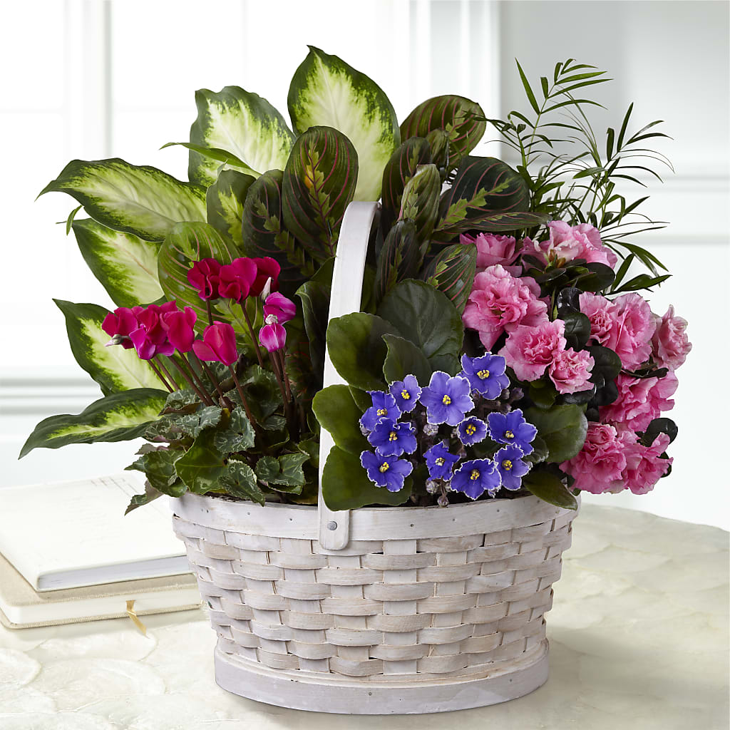 Peaceful Garden Planter – Bella Fiore, Clermont FL