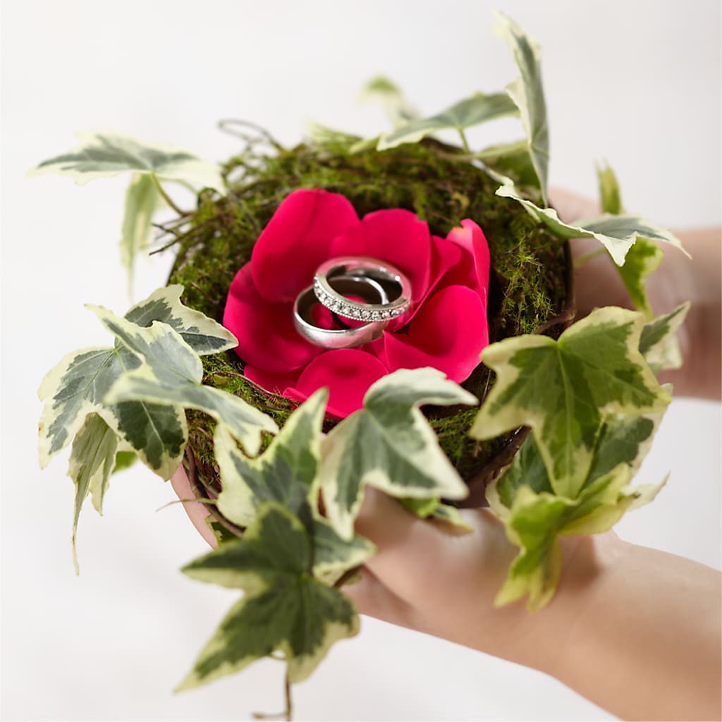 Lila Rose Ring Nest – Bella Fiore, Clermont FL