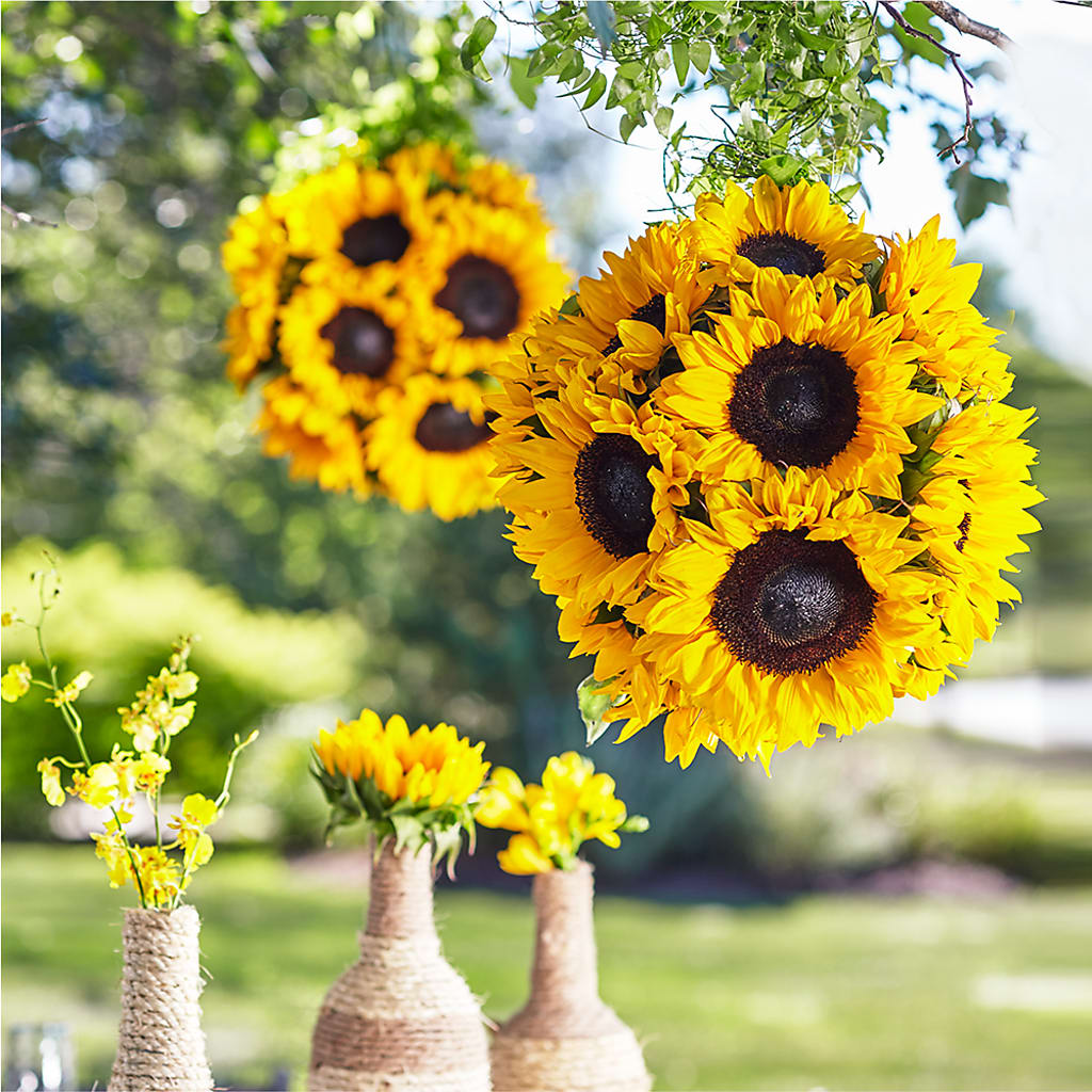 Sublime Garden Hanging Arrangement – Bella Fiore, Clermont FL