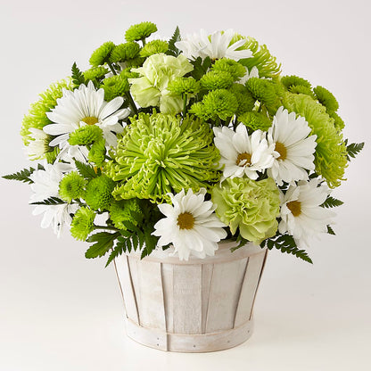 Lucky Charm Basket (Standard) –  Bella Fiore, Clermont FL