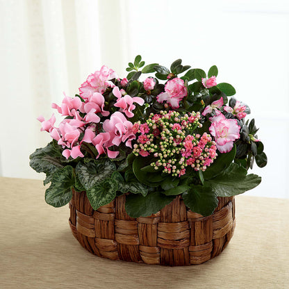 Pink Assortment –  Bella Fiore, Clermont FL