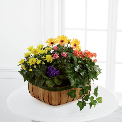 Gentle Blossoms Basket –  Bella Fiore, Clermont FL