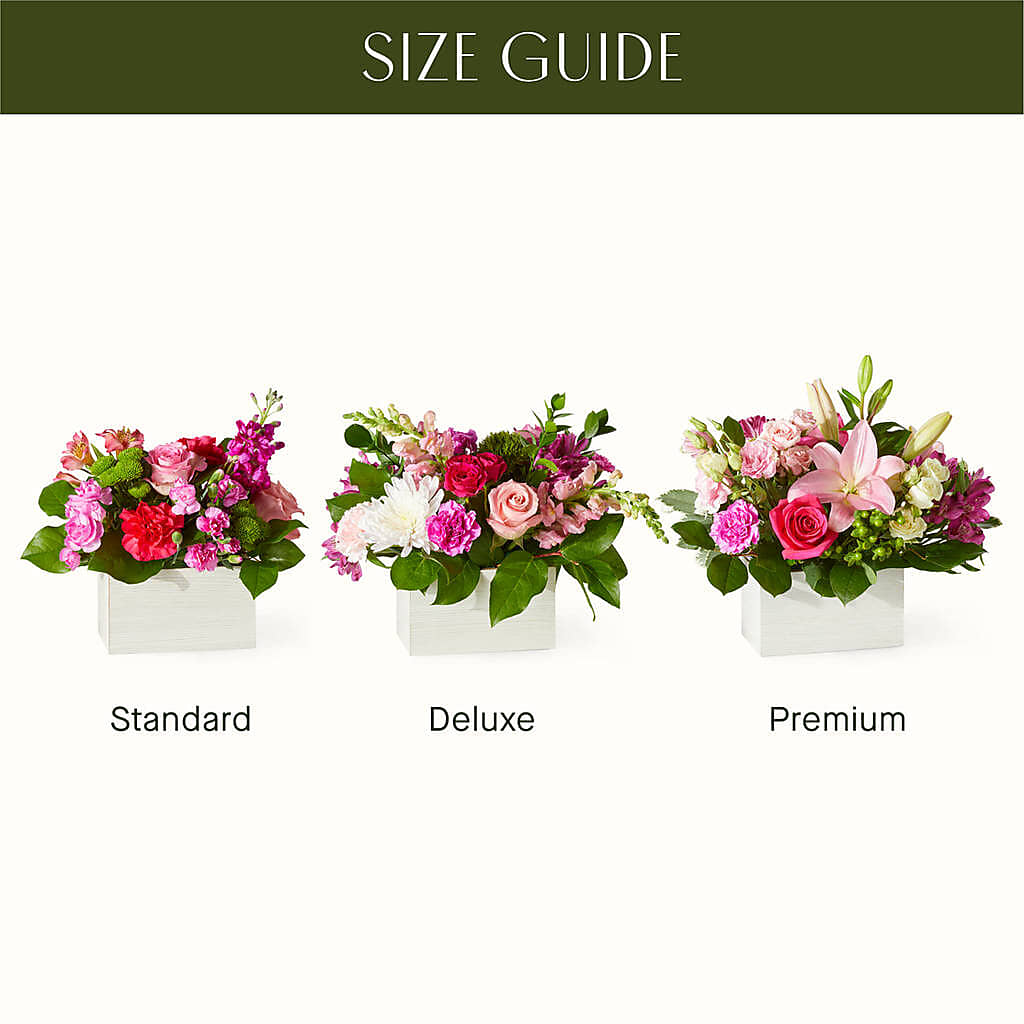 Sweetberry Box – A Florist Original –  Bella Fiore, Clermont FL