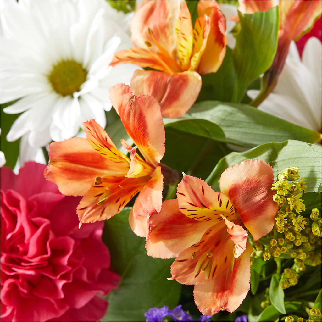 Oopsie Daisy Box Bouquet –  Bella Fiore, Clermont FL