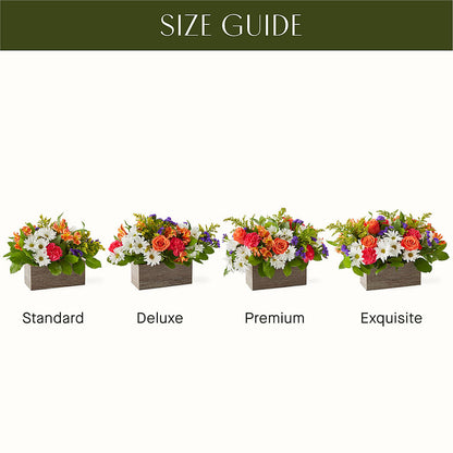 Oopsie Daisy Box Bouquet –  Bella Fiore, Clermont FL