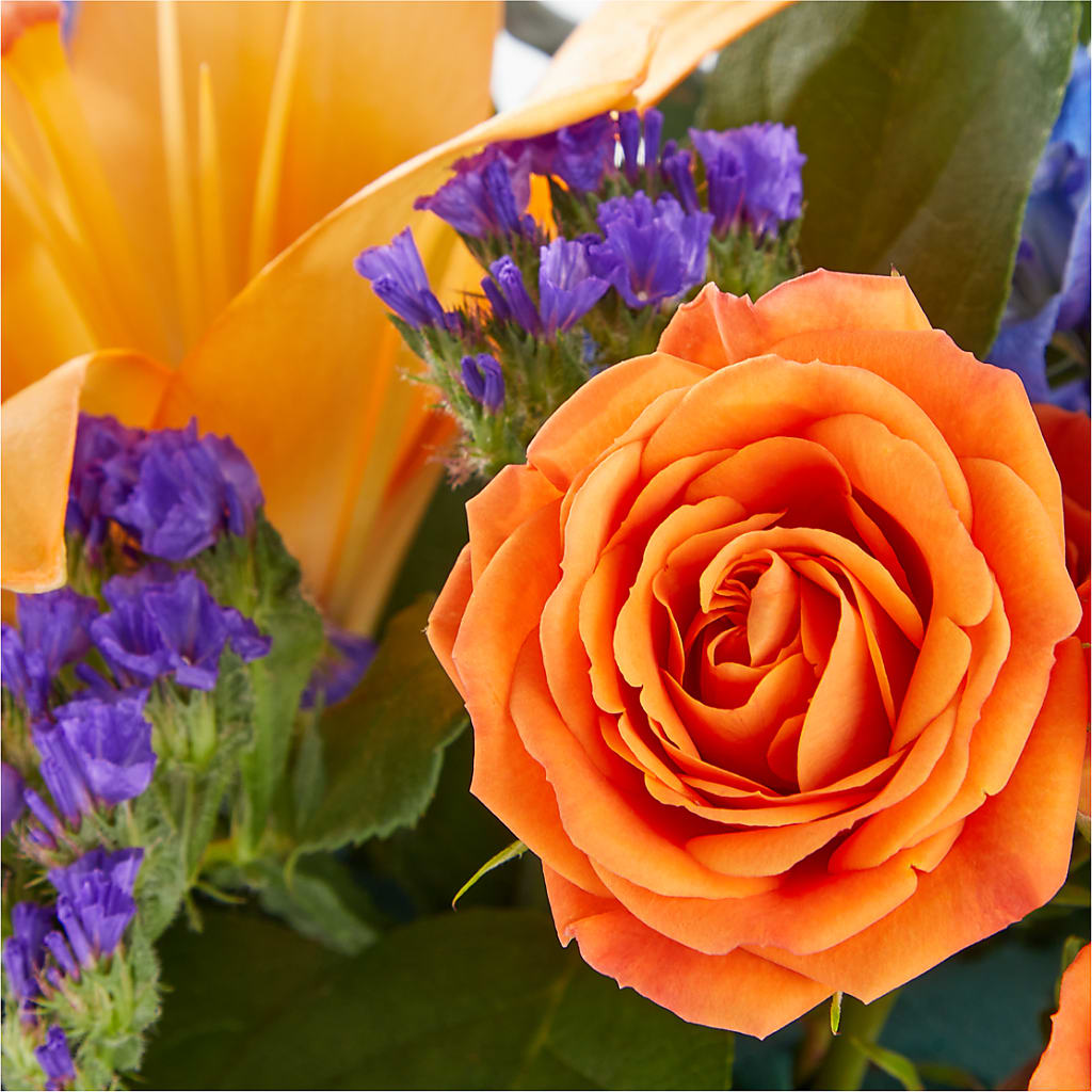 Radiant Citrus Box Bouquet –  Bella Fiore, Clermont FL