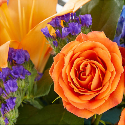 Radiant Citrus Box Bouquet –  Bella Fiore, Clermont FL