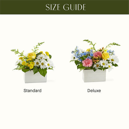Sun Salutation Box Bouquet –  Bella Fiore, Clermont FL
