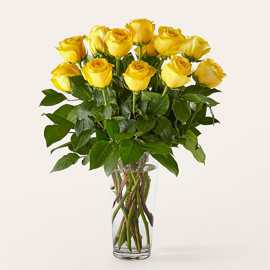 Long Stem Yellow Rose Bouquet –  Bella Fiore, Clermont FL