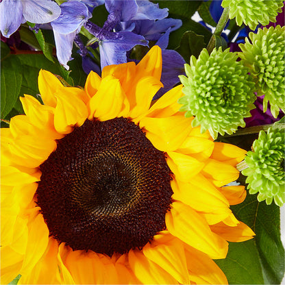 Catching Rays Bouquet –  Bella Fiore, Clermont FL