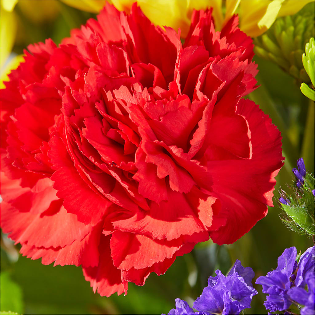Brighter Days Bouquet –  Bella Fiore, Clermont FL
