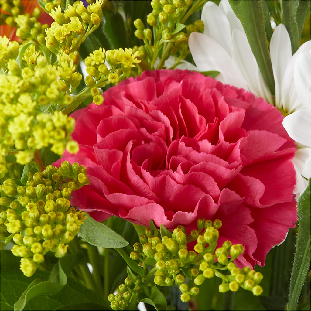 Oopsie Daisy Bouquet –  Bella Fiore, Clermont FL