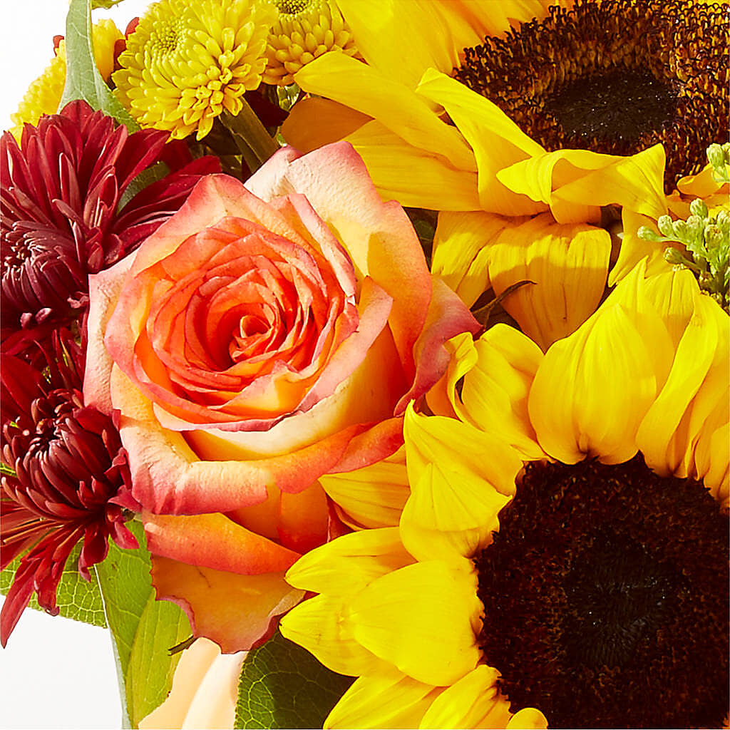 Golden Gourd Pumpkin Bouquet –  Bella Fiore, Clermont FL