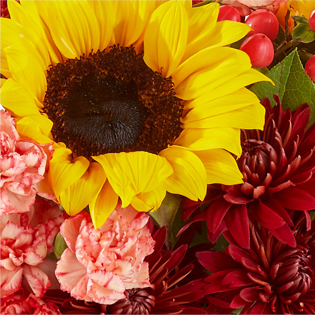 Fresh Cider Bouquet –  Bella Fiore, Clermont FL