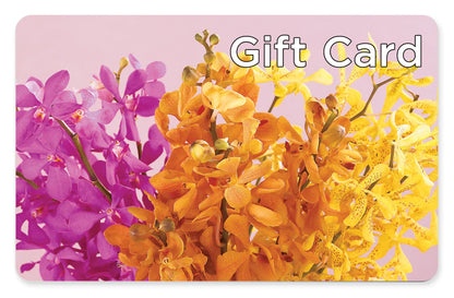 Gift Card –  Bella Fiore, Clermont FL