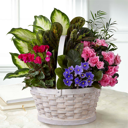 Peaceful Garden Planter –  Bella Fiore, Clermont FL
