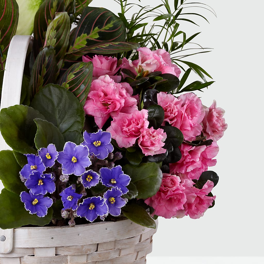 Peaceful Garden Planter –  Bella Fiore, Clermont FL