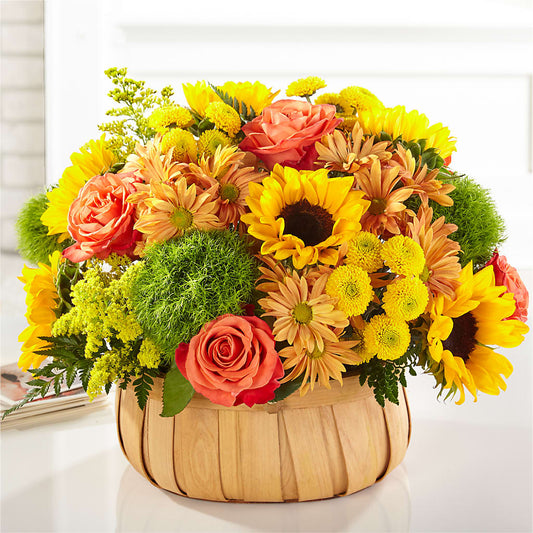 Harvest Sunflower Basket –  Bella Fiore, Clermont FL
