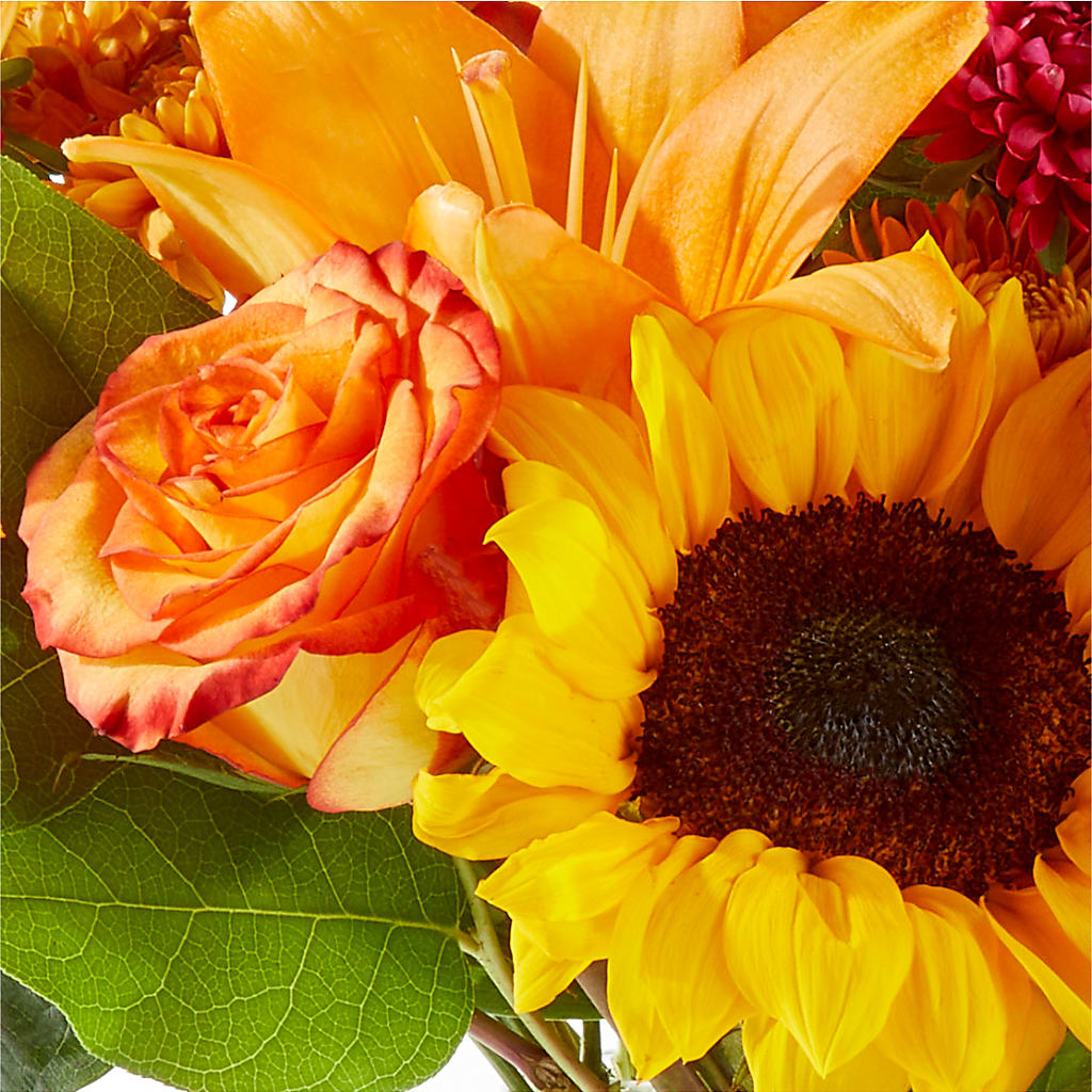 Fall Day Bouquet –  Bella Fiore, Clermont FL