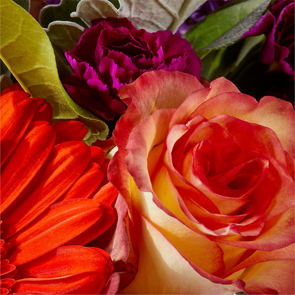 Sangria Bouquet –  Bella Fiore, Clermont FL