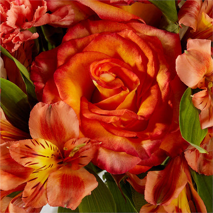 Apricot Glow Bouquet –  Bella Fiore, Clermont FL