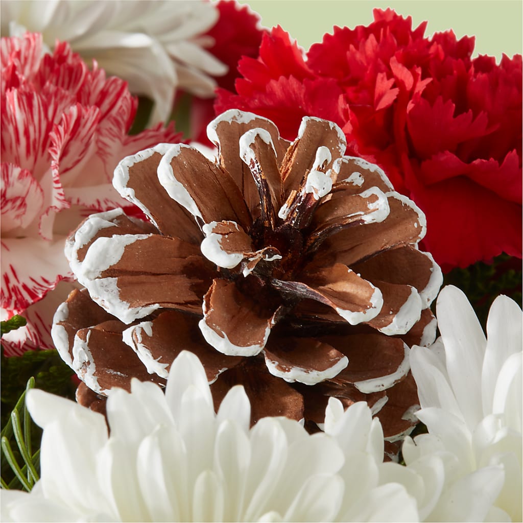 Candy Cane Lane Bouquet –  Bella Fiore, Clermont FL