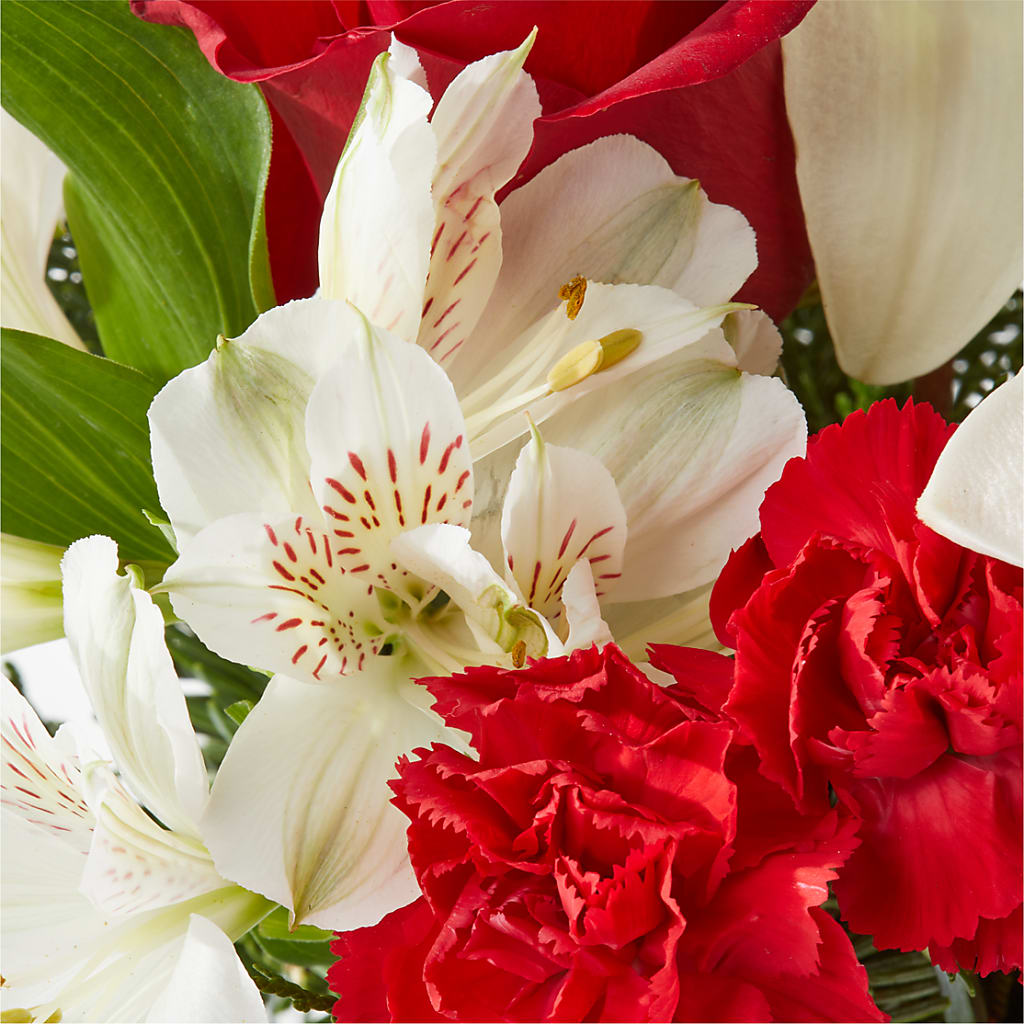 Holiday Season Bouquet –  Bella Fiore, Clermont FL