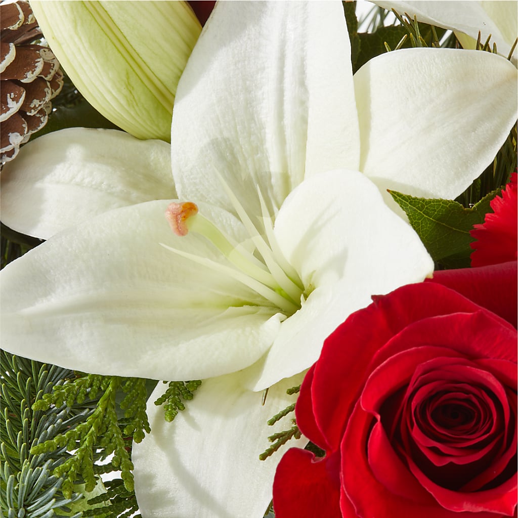 Oh So Jolly Bouquet –  Bella Fiore, Clermont FL