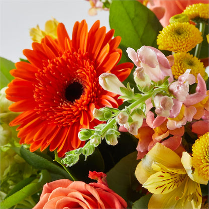 Autumn Sunshine Bouquet –  Bella Fiore, Clermont FL