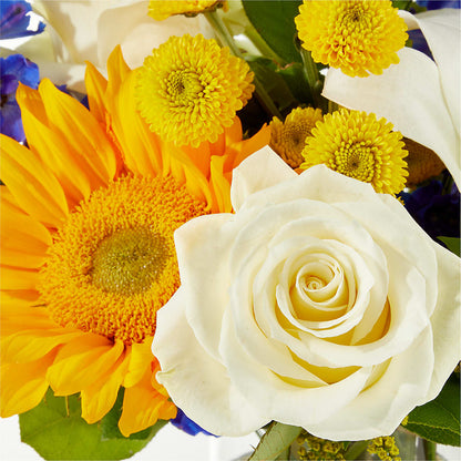 Stargazing Bouquet –  Bella Fiore, Clermont FL