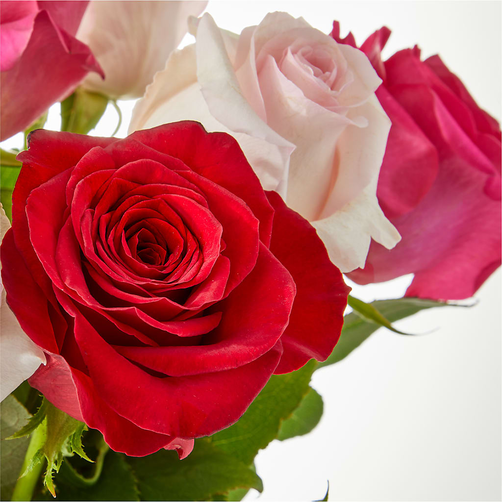 Charming Rose Bouquet –  Bella Fiore, Clermont FL