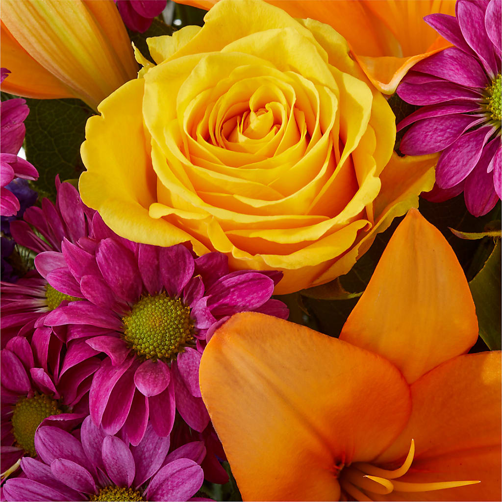 Colorful Visions Bouquet –  Bella Fiore, Clermont FL