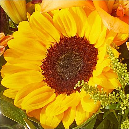 Seasons Change Bouquet –  Bella Fiore, Clermont FL