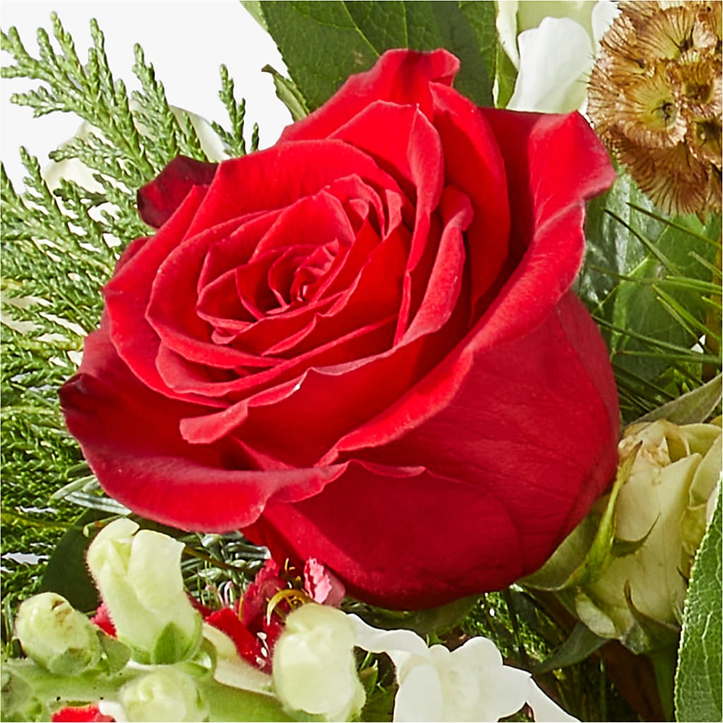 Deck the Halls Bouquet –  Bella Fiore, Clermont FL