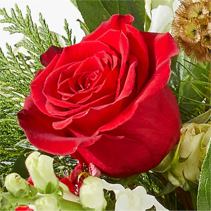 Deck the Halls Bouquet –  Bella Fiore, Clermont FL