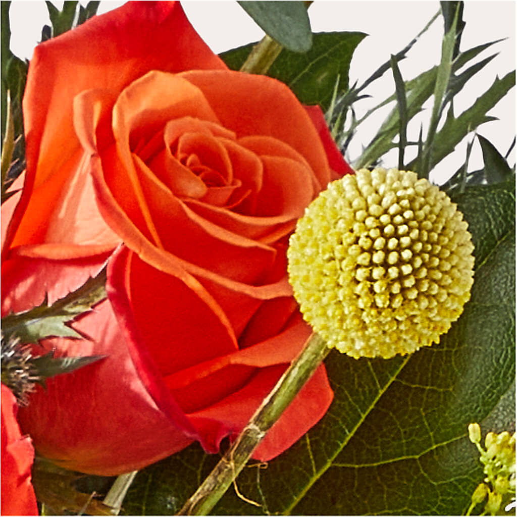 Disco Bouquet –  Bella Fiore, Clermont FL