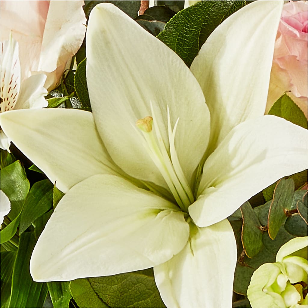 Ballet Slippers Bouquet –  Bella Fiore, Clermont FL