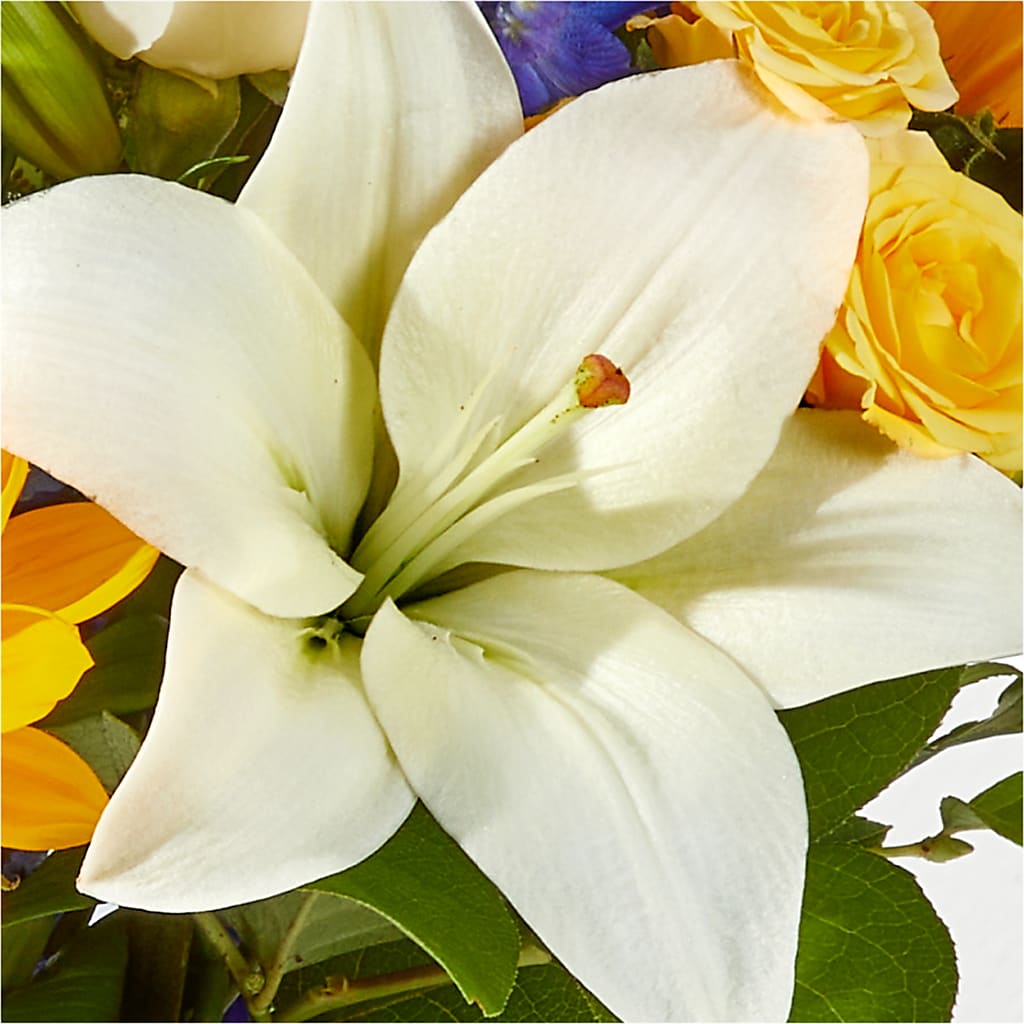 Wonderfully Sunny Bouquet –  Bella Fiore, Clermont FL