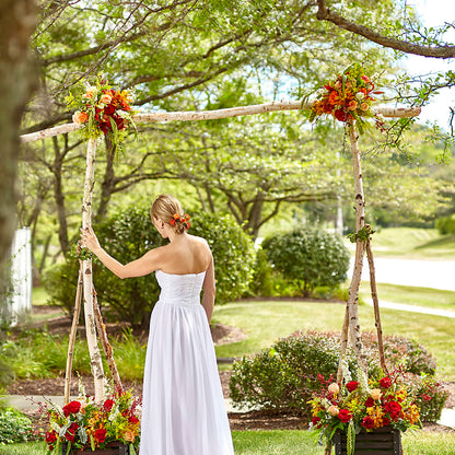 Arbor of Love Archway –  Bella Fiore, Clermont FL